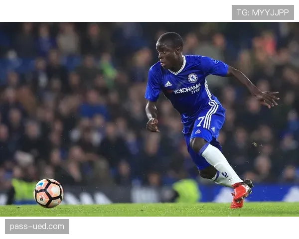 体系驱动下维拉蒂与坎特中场调度能力的分化机制解析